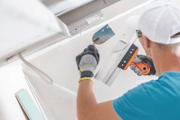 Reliable Lincoln Park, NJ Mold Removal Solutions